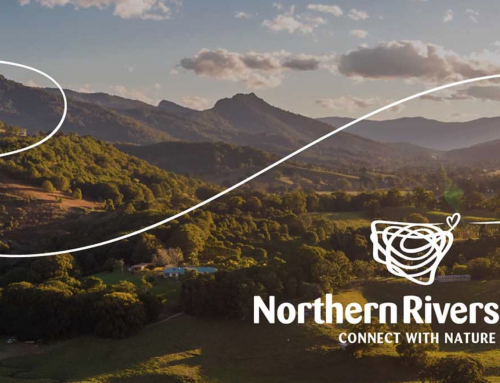 The Northern Rivers NSW Brand